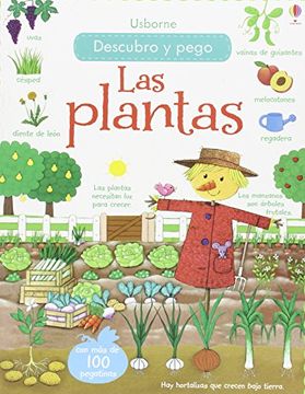 DESCUBRO Y PEGO  LAS PLANTAS