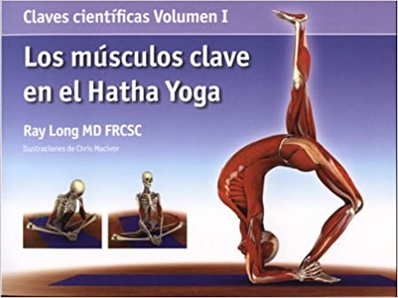 LOS MUSCULOS CLAVES EN EL HATHA YOGA