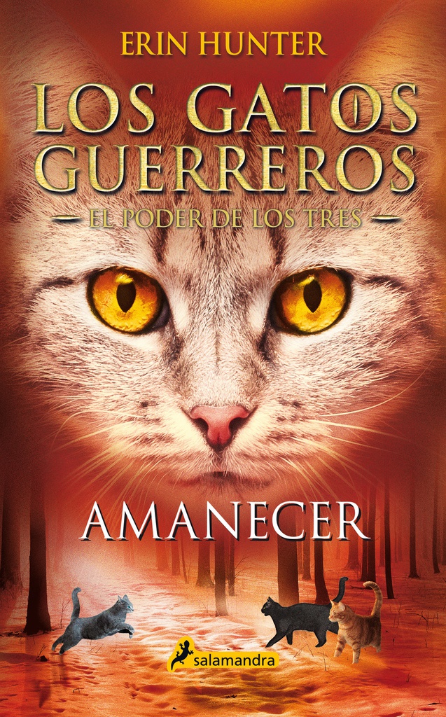 GATOS GUERREROS - EL PODER DE LOS TRES 6 - AMANECER