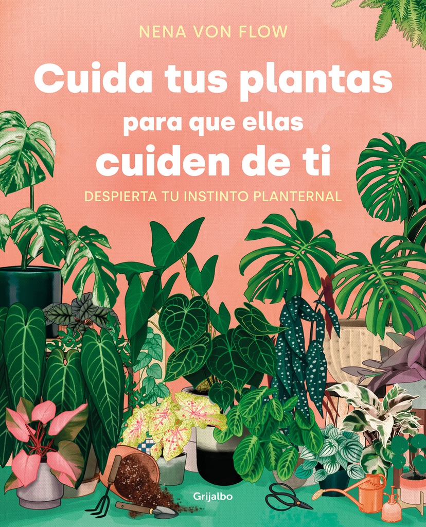 CUIDA TUS PLANTAS, PARA QUE ELLAS CUIDEN DE TI