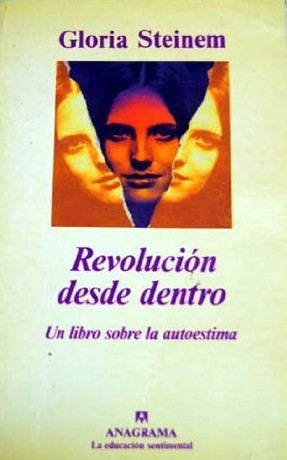 REVOLUCION DESDE DENTRO (UN LIBRO SOBRE