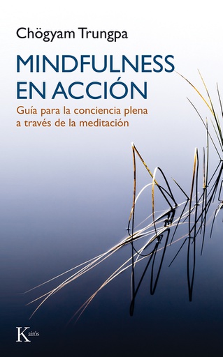 MINDFULNESS EN ACCION 