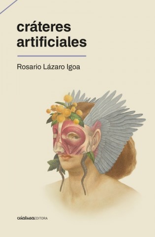 CRATERES ARTIFICIALES